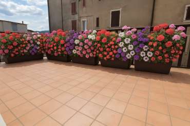 terrazza